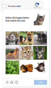 NoCaptch reCaptcha - now with cats!